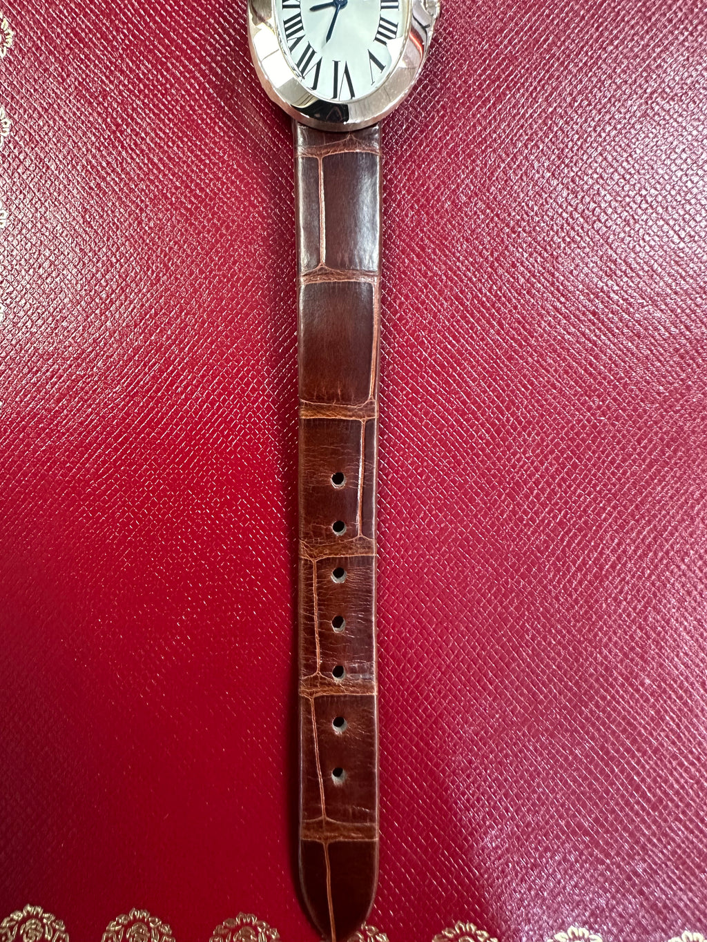 buckle_opened